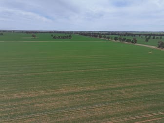 'SECKHOLDS' Bradshaws Lane Coolamon NSW 2701 - Image 2