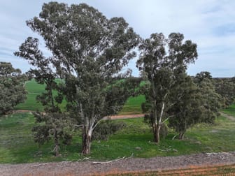 'SECKHOLDS' Bradshaws Lane Coolamon NSW 2701 - Image 3