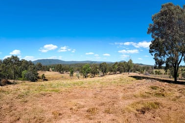 142 Armstrong Road Biddaddaba QLD 4275 - Image 2