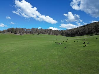 Click to view all images 'Eastmore' 1177 Callaghan Creek Road Mitta Mitta VIC 3701 - Image 2
