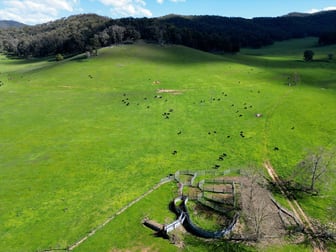 Click to view all images 'Eastmore' 1177 Callaghan Creek Road Mitta Mitta VIC 3701 - Image 1