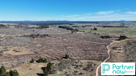 "Paddy's Flat" Monaro Highway Bombala NSW 2632 - Image 1