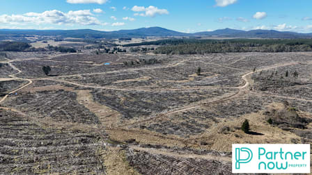 "Paddy's Flat" Monaro Highway Bombala NSW 2632 - Image 2