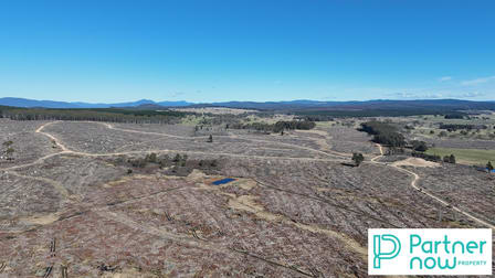 "Paddy's Flat" Monaro Highway Bombala NSW 2632 - Image 3