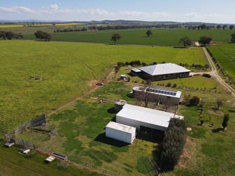 56 Leneva Lane Canowindra NSW 2804 - Image 1