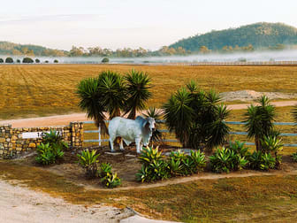 145 Midge Point Rd Bloomsbury QLD 4799 - Image 1