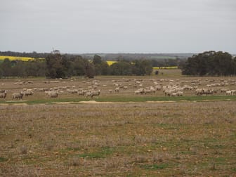 Dowrene Farm, Cnr Yerriminup and Yarralena Roads Cranbrook WA 6321 - Image 2
