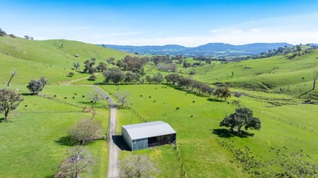 681 Ben Valley Lane Yackandandah VIC 3749 - Image 2
