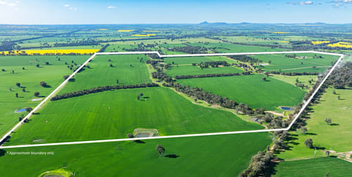 Click to view all images 'Blossom Farm' Klemkes Road Henty NSW 2658 - Image 1