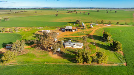 1250 Barracluffs Road Bidgeemia NSW 2642 - Image 3
