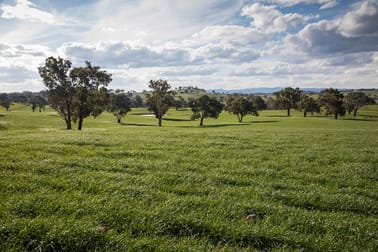 Burnt Yards Road Mandurama NSW 2792 - Image 1