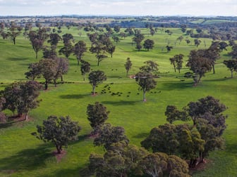 Burnt Yards Road Mandurama NSW 2792 - Image 3