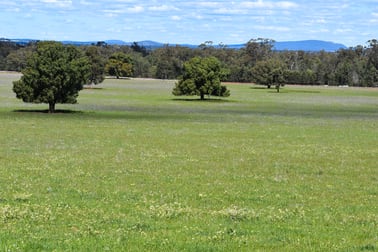 120 Melrose Plains Road Fifield NSW 2875 - Image 1