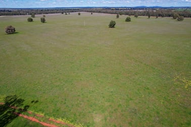 120 Melrose Plains Road Fifield NSW 2875 - Image 2