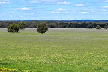 120 Melrose Plains Road Fifield NSW 2875 - Image 3