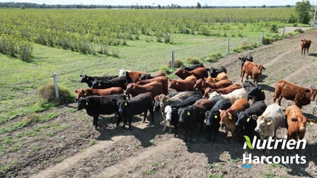 2210 Chinchilla Wondai Road Canaga QLD 4413 - Image 2