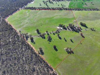 - Kurting Kingower Road Kurting VIC 3517 - Image 3