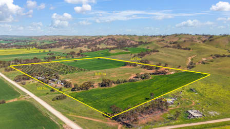 Click to view all images 263 Stock Route Road Point Pass SA 5374 - Image 2