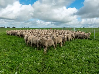 1972 Skipton Road Stockyard Hill VIC 3373 - Image 2