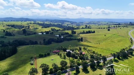 4922 Palmerston Highway Ellinjaa QLD 4886 - Image 3