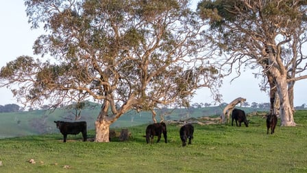 Lot 2 Old Bull Creek Rd Strathalbyn SA 5255 - Image 2