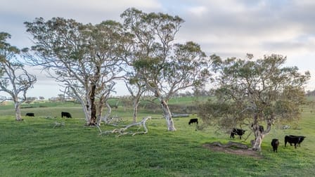 Lot 2 Old Bull Creek Rd Strathalbyn SA 5255 - Image 3