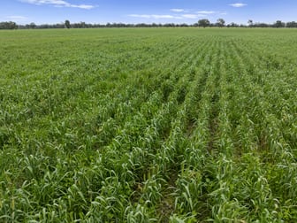 Williams Road Nagambie VIC 3608 - Image 3
