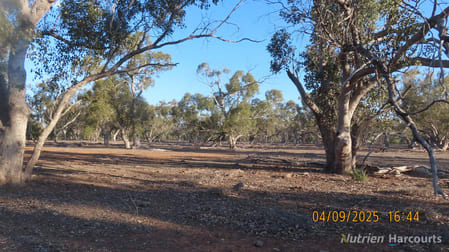 * MUD HUT Bourke NSW 2840 - Image 1