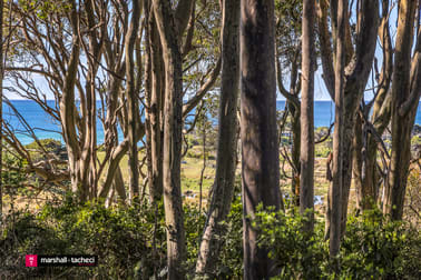 3513 Tathra Bermagui Road Barragga Bay NSW 2546 - Image 2