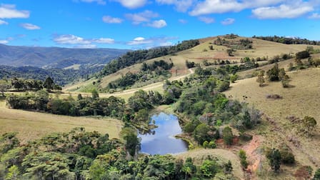 279 Diggings Road Eungella QLD 4757 - Image 3