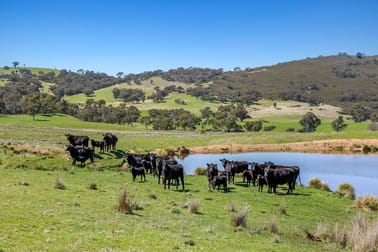 1663 Mountain Creek Road Mullion NSW 2582 - Image 2
