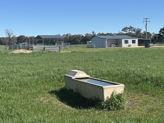 4332 Olympic Highway Henty NSW 2658 - Image 1