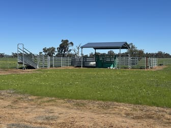 4332 Olympic Highway Henty NSW 2658 - Image 3