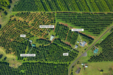 68 Connor Road Tregeagle NSW 2480 - Image 1