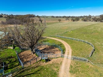 5353 Trunkey Road Trunkey Creek NSW 2795 - Image 3