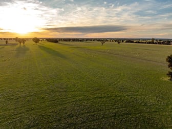 Weir Road Galore NSW 2650 - Image 3