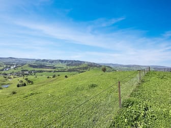 5114 River Road Talmalmo NSW 2640 - Image 3