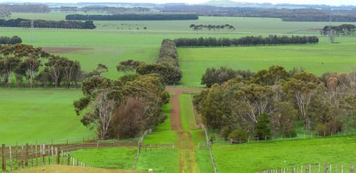 850 East Hill Road Bookaar VIC 3260 - Image 2