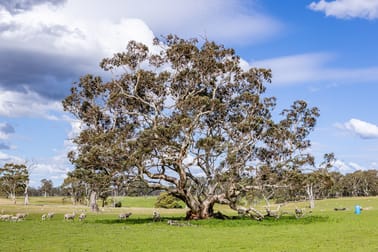 219 Ockley Rd Comaum SA 5277 - Image 2