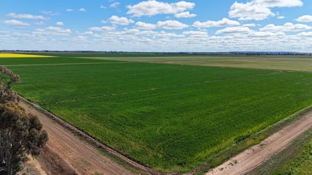 Farm 2526/408 Cashmere Road Widgelli NSW 2680 - Image 2