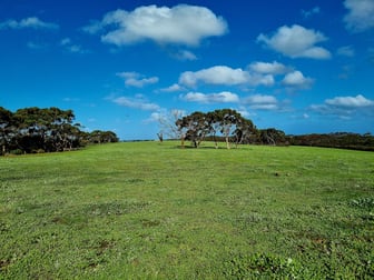 958 Crabbs Road Newland SA 5223 - Image 1