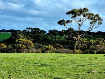 958 Crabbs Road Newland SA 5223 - Image 3