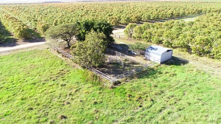 3 Comiskey Road Horseshoe Lagoon QLD 4809 - Image 3