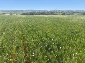 Click to view all images Lot 72 Oakajee Road Howatharra WA 6532 - Image 3