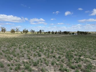 Click to view all images 4910 Mallee Highway Peake SA 5301 - Image 1