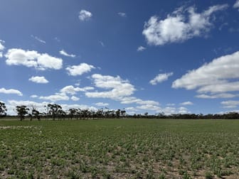 Click to view all images 4910 Mallee Highway Peake SA 5301 - Image 3