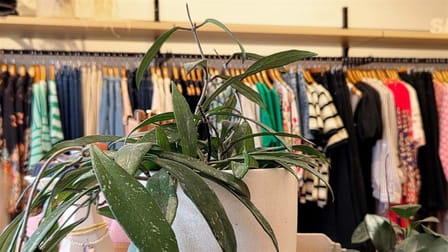 Clothing & Accessories  business for sale in Spotswood - Image 3