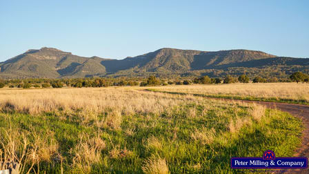 'Top Walga' 281 Top Walga Road Tooraweenah NSW 2817 - Image 3