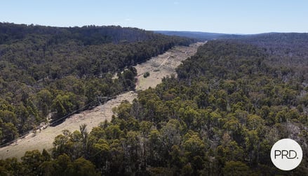 Lot 17 East Bago Powerline Road Tumbarumba NSW 2653 - Image 2