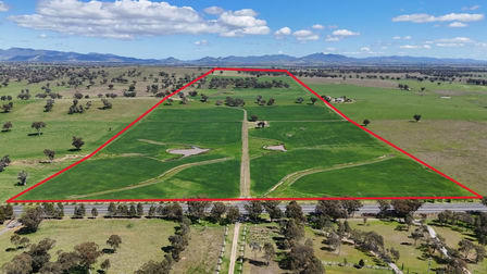 Grandview 13669 New England Highway Timbumburi NSW 2340 - Image 2